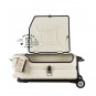 Trolley, Moscow White
